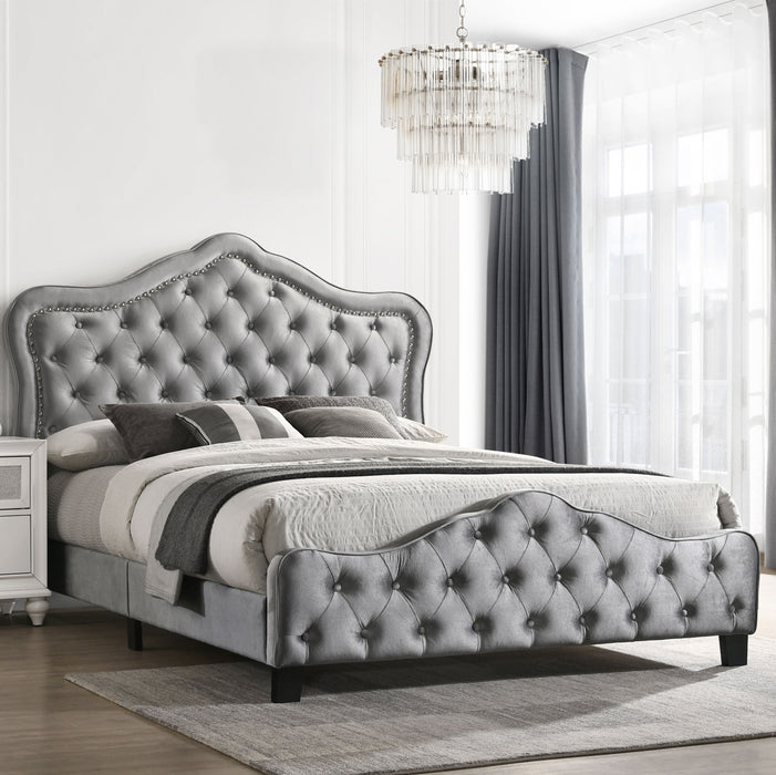 Bella Queen Beds