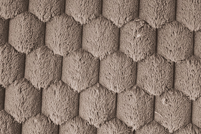 Ferryhill 2-Arm Chaise